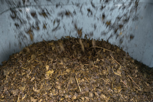 伝統樽漬け発酵茶 阿波晩茶 1kg